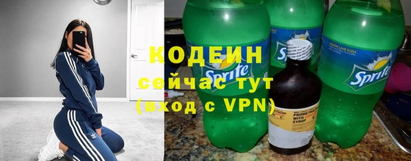 гашик Козельск