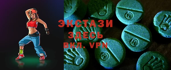 гашик Козельск