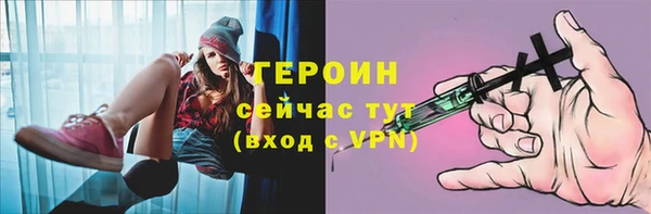 гашик Козельск
