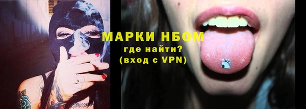 гашик Козельск