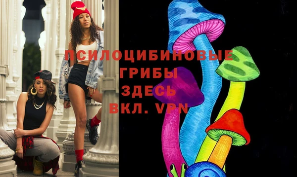 мдпв Козловка