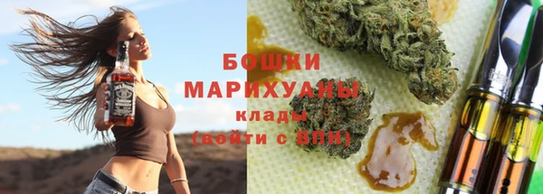 гашик Козельск