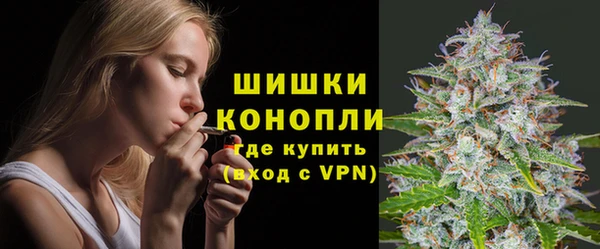 гашик Козельск